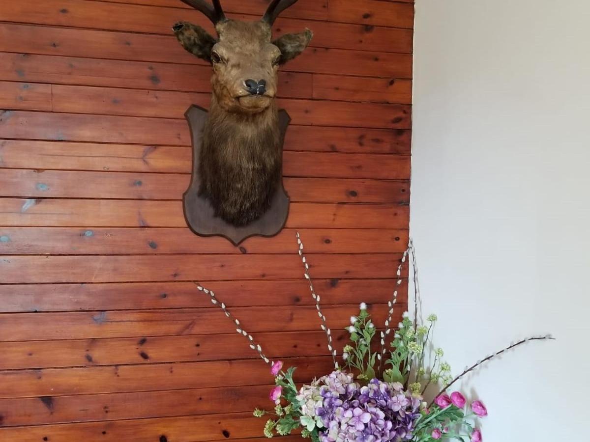 Glenan Lodge Self Catering Tomatin Екстериор снимка